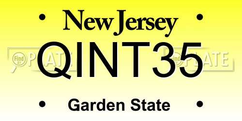 QINT35 New Jersey License Plate