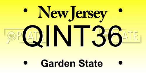 QINT36 New Jersey License Plate