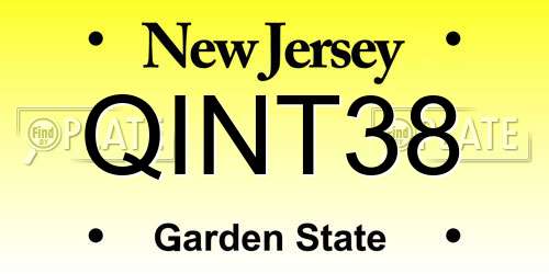 QINT38 New Jersey License Plate