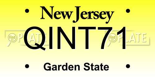 QINT71 New Jersey License Plate
