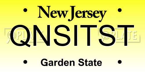 QNSITST New Jersey License Plate