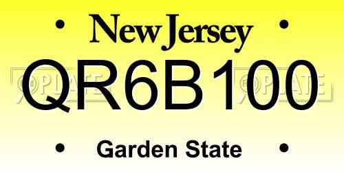 QR6B100 New Jersey License Plate