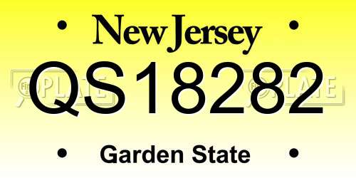 QS18282 New Jersey License Plate
