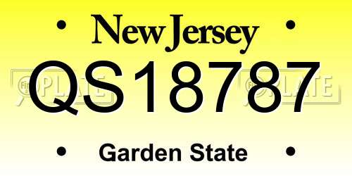 QS18787 New Jersey License Plate