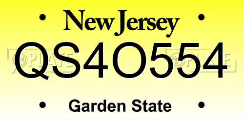 QS4O554 New Jersey License Plate
