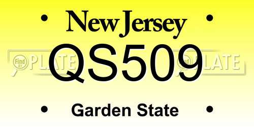 QS509 New Jersey License Plate