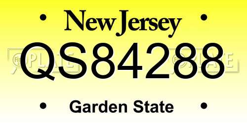 QS84288 New Jersey License Plate