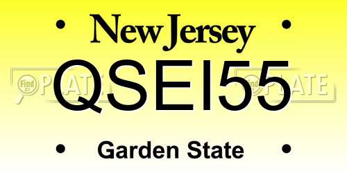 QSEI55 New Jersey License Plate