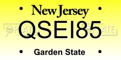 QSEI85 New Jersey License Plate