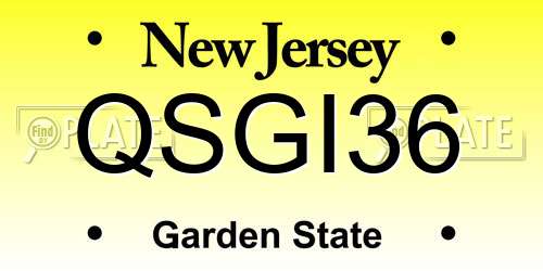 QSGI36 New Jersey License Plate