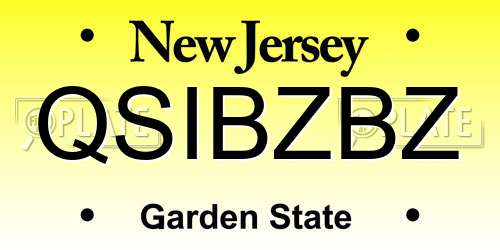 QSIBZBZ New Jersey License Plate