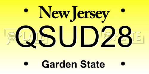 QSUD28 New Jersey License Plate