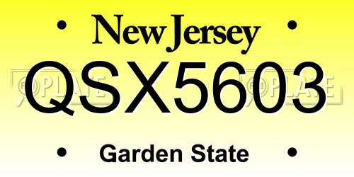 QSX5603 New Jersey License Plate