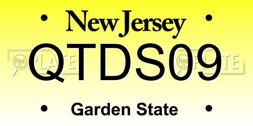 QTDS09 New Jersey License Plate