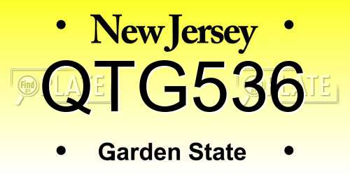 QTG536 New Jersey License Plate