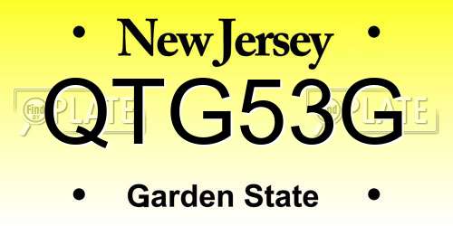 QTG53G New Jersey License Plate