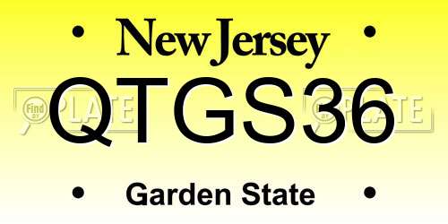 QTGS36 New Jersey License Plate