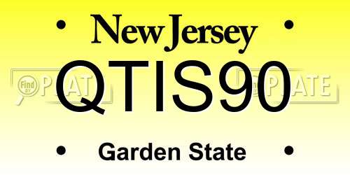 QTIS90 New Jersey License Plate