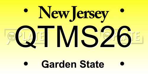 QTMS26 New Jersey License Plate
