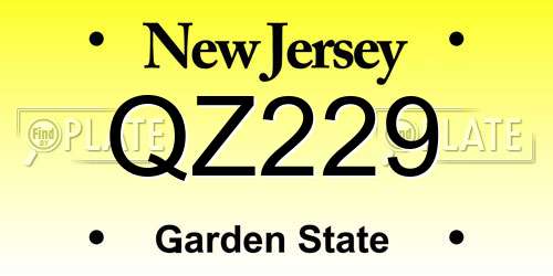 QZ229 New Jersey License Plate