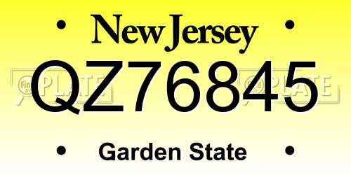 QZ76845 New Jersey License Plate