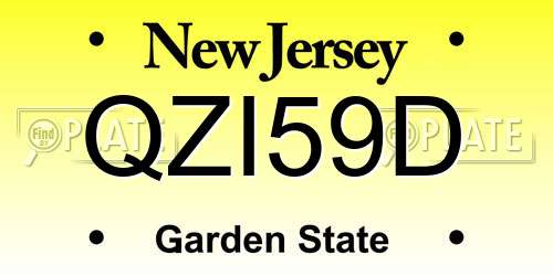 QZI59D New Jersey License Plate