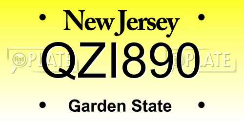QZI890 New Jersey License Plate