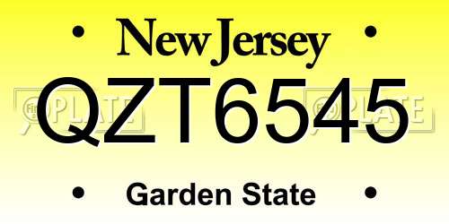 QZT6545 New Jersey License Plate