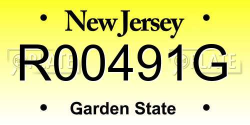 R00491G New Jersey License Plate