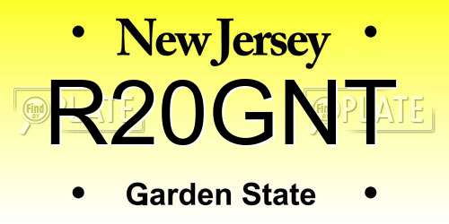 R20GNT New Jersey License Plate