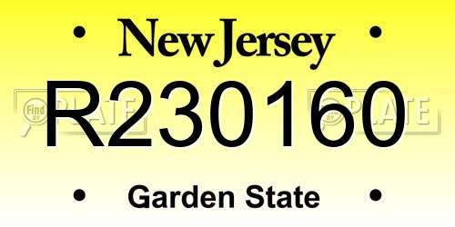 R230160 New Jersey License Plate