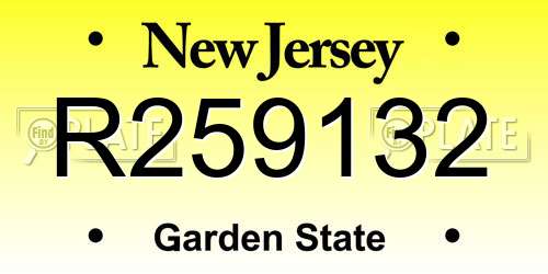 R259132 New Jersey License Plate