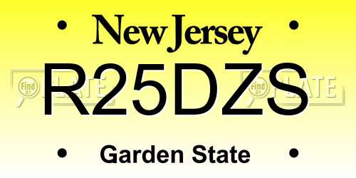 R25DZS New Jersey License Plate