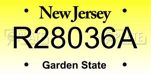 R28036A New Jersey License Plate