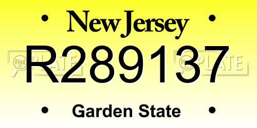 R289137 New Jersey License Plate