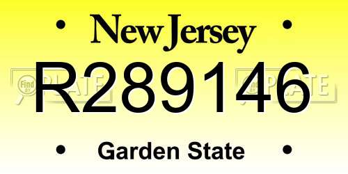R289146 New Jersey License Plate
