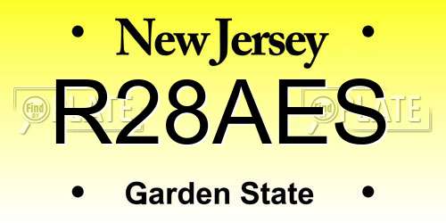 R28AES New Jersey License Plate