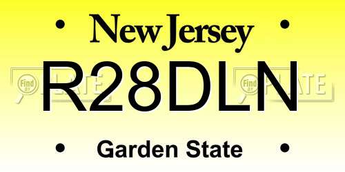 R28DLN New Jersey License Plate