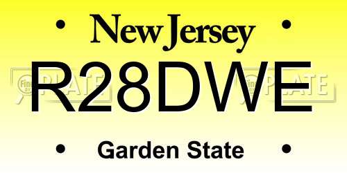 R28DWE New Jersey License Plate