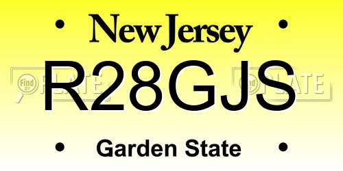 R28GJS New Jersey License Plate
