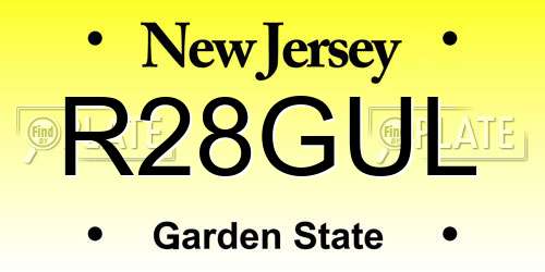 R28GUL New Jersey License Plate
