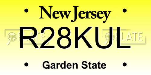 R28KUL New Jersey License Plate