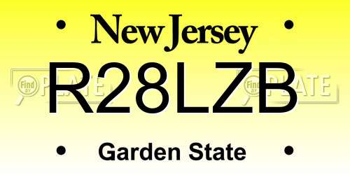 R28LZB New Jersey License Plate