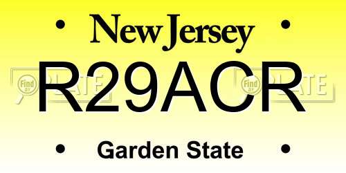 R29ACR New Jersey License Plate