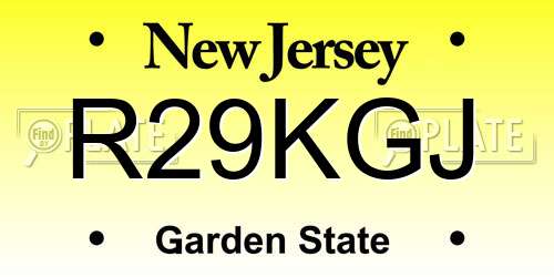 R29KGJ New Jersey License Plate