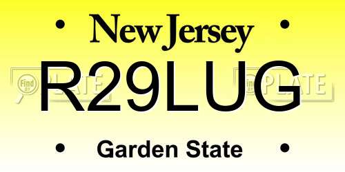R29LUG New Jersey License Plate