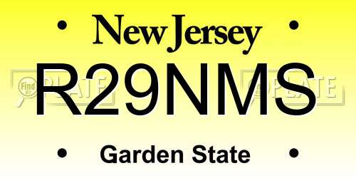 R29NMS New Jersey License Plate