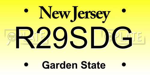 R29SDG New Jersey License Plate