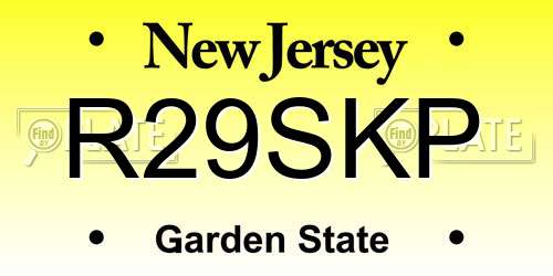 R29SKP New Jersey License Plate