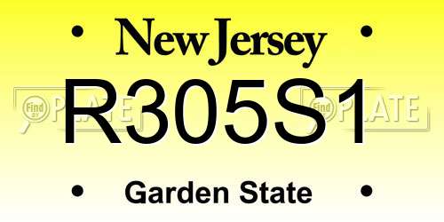 R305S1 New Jersey License Plate